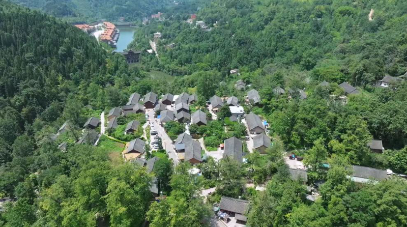 妥樂古銀杏景區。萬文賢攝