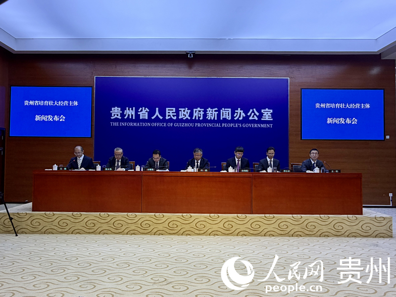 新聞發布會現場。人民網記者 李麗萍攝