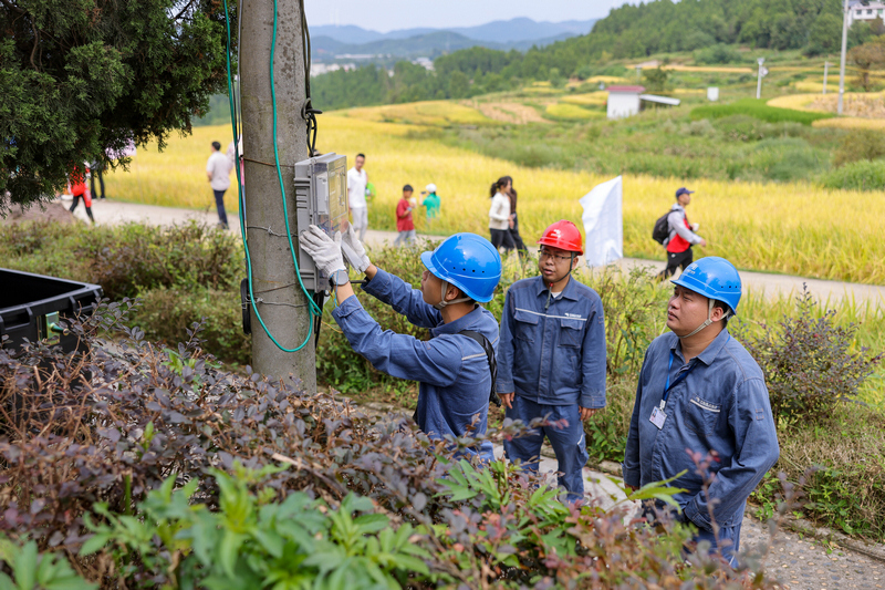南方电网贵州铜仁玉屏供电局工作人员走进辖区稻田片区，对线路、配电箱、计量装置开展巡检排查。胡攀学、车安南供图