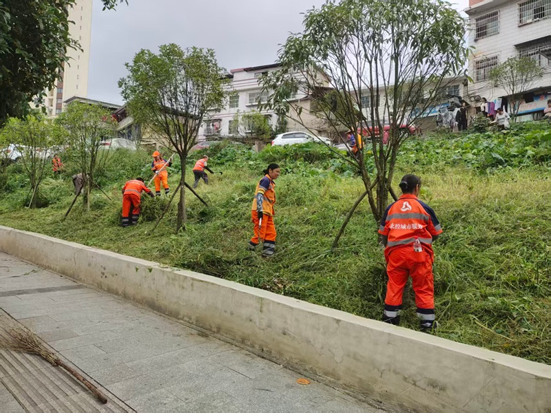 圖1：開展路邊護坡綠化帶雜草清理作業