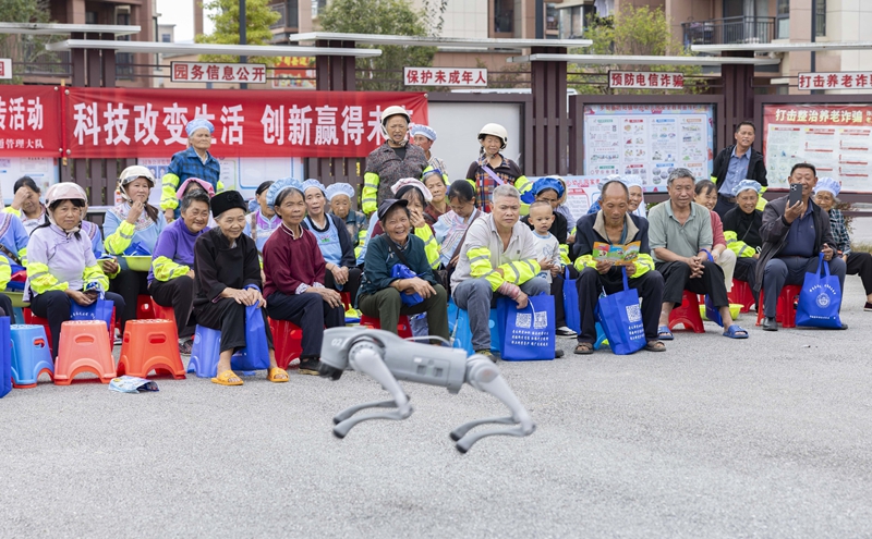 觀看機器狗表演.jpg