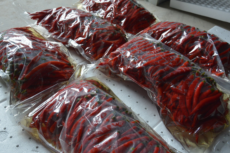 真空包装泡椒成品，打通辣椒销售渠道。