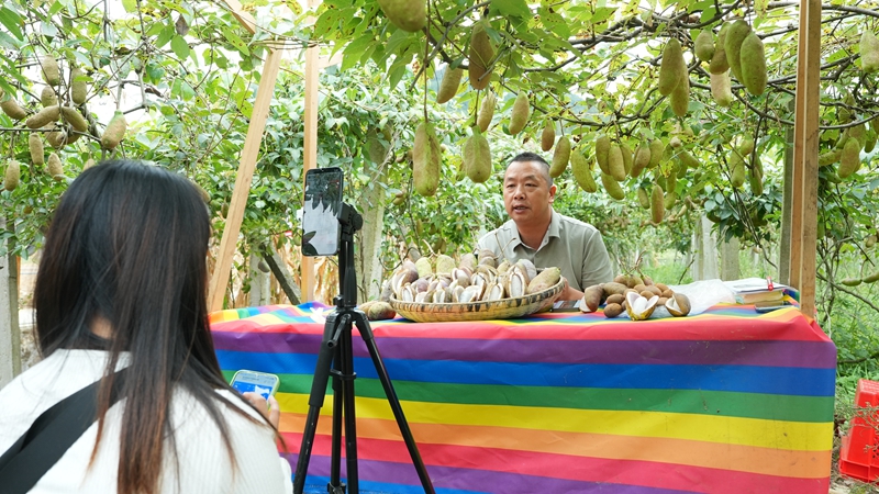 圖為茅天鎮興隆社區八月瓜基地 村抖助農直播隊伍正在直播。申豪攝