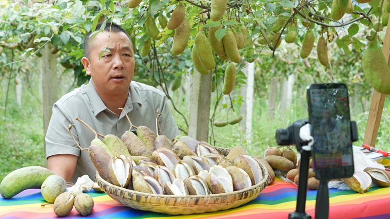 圖為日 茅天鎮興隆社區八月瓜基地 村抖助農直播隊伍正在直播。申豪攝
