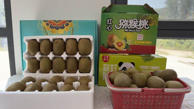 平海村猕猴桃包装成品。