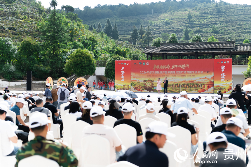 活动现场。人民网记者 涂敏摄