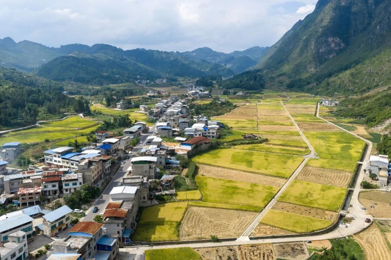 边阳镇兴隆村高标准农田一角.jpg