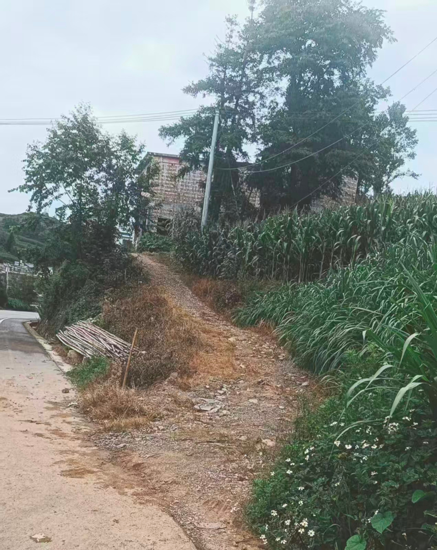路面尚未硬化情况。六盘水市委办供图