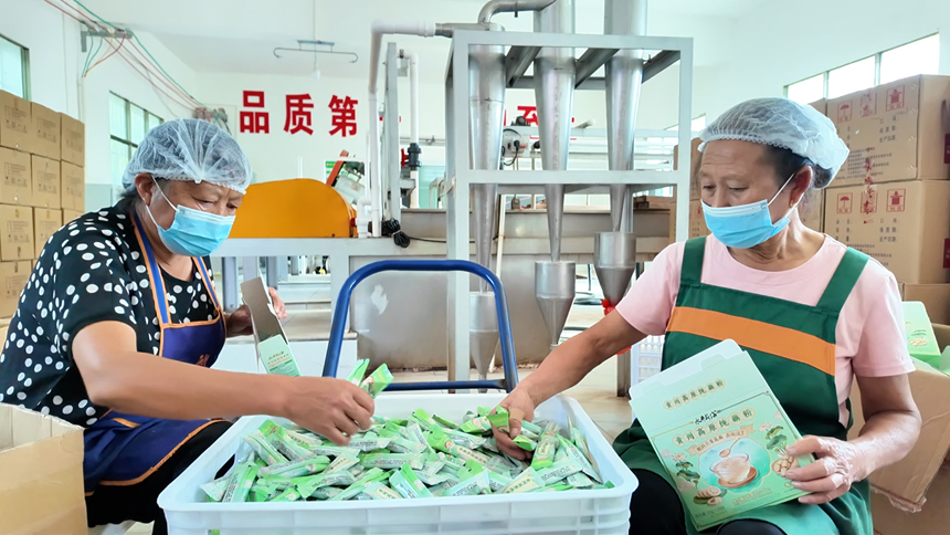 圖為工人們有序地進行月餅禮盒打包、裝箱。