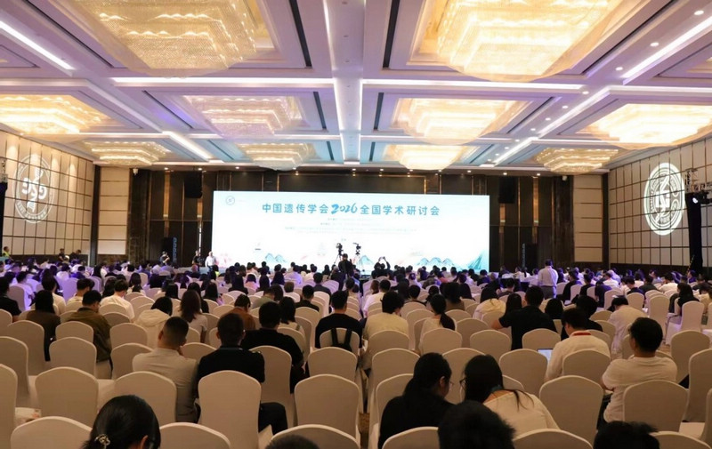 活动现场。