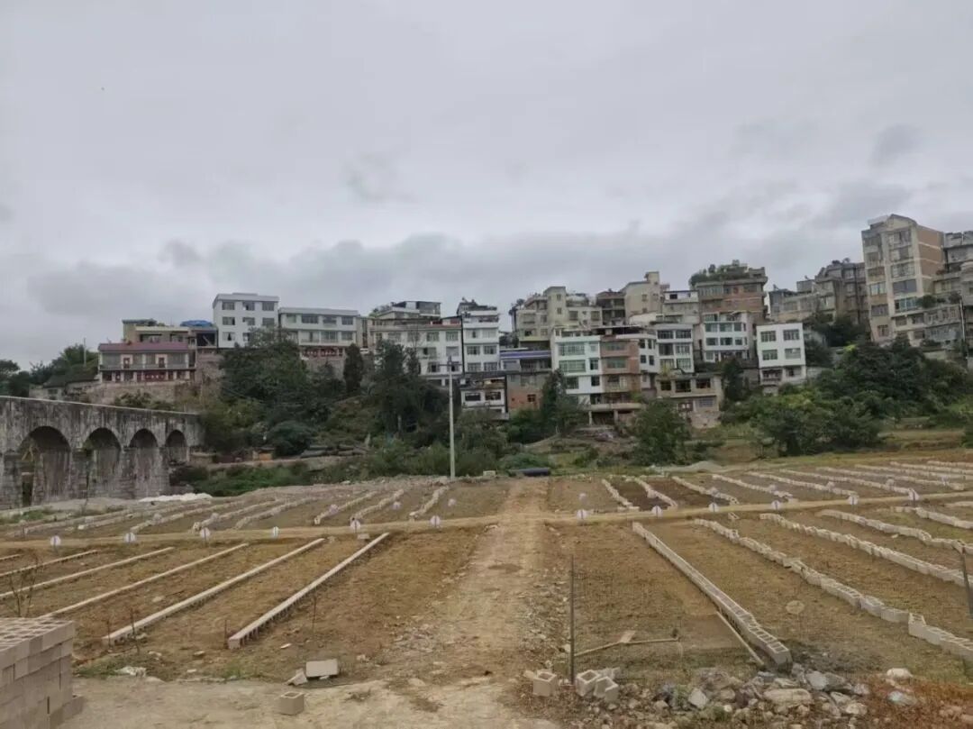 城北新區地下排水管網改造工程。