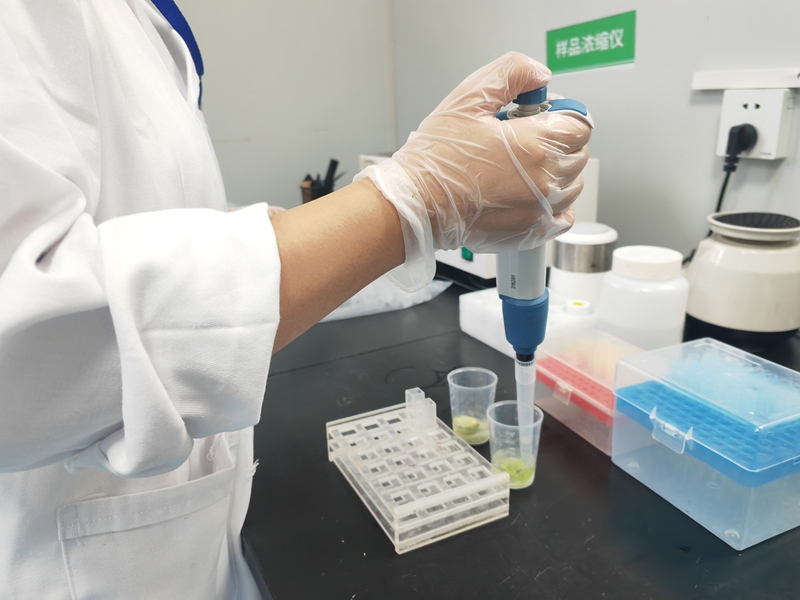 蔬菜严格落实农残筛查、品质筛选，合格食材按各学校需求精准分装、按时发车，确保每日食材安全、新鲜、准时入校。.jpg