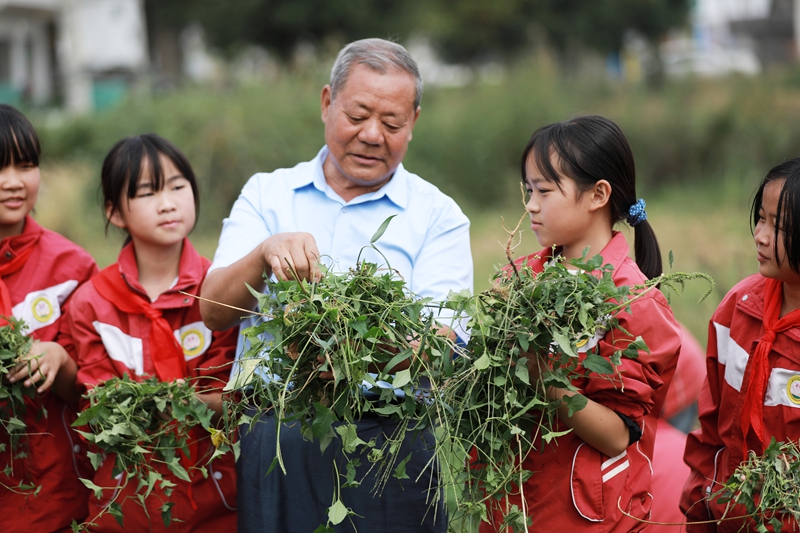 2026年9月21日，貴州省黔西市關工委老同志與學校師生一起開展勞動教育實踐活動，給韭菜除草。