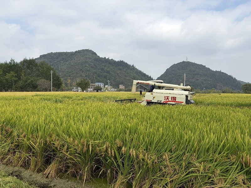 1 活動現場.jpg