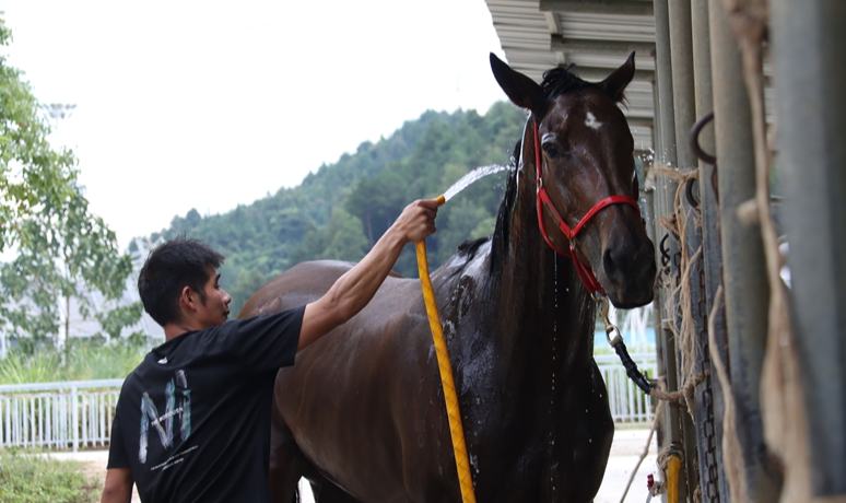 策马逐梦迎华诞 贵州三都骑手韦高飞蓄势待发 驰骋国庆赛场