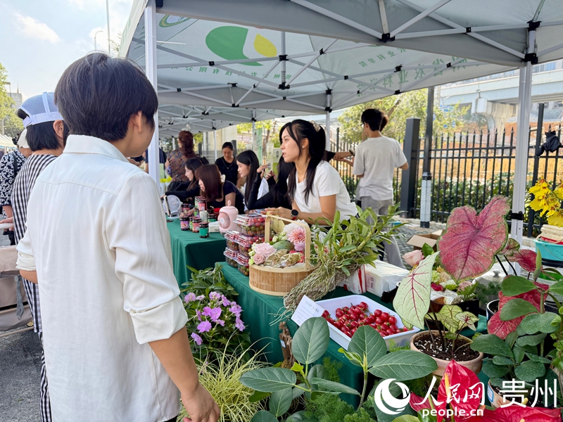 活動展區。人民網記者 陳潔泉攝 .jpg