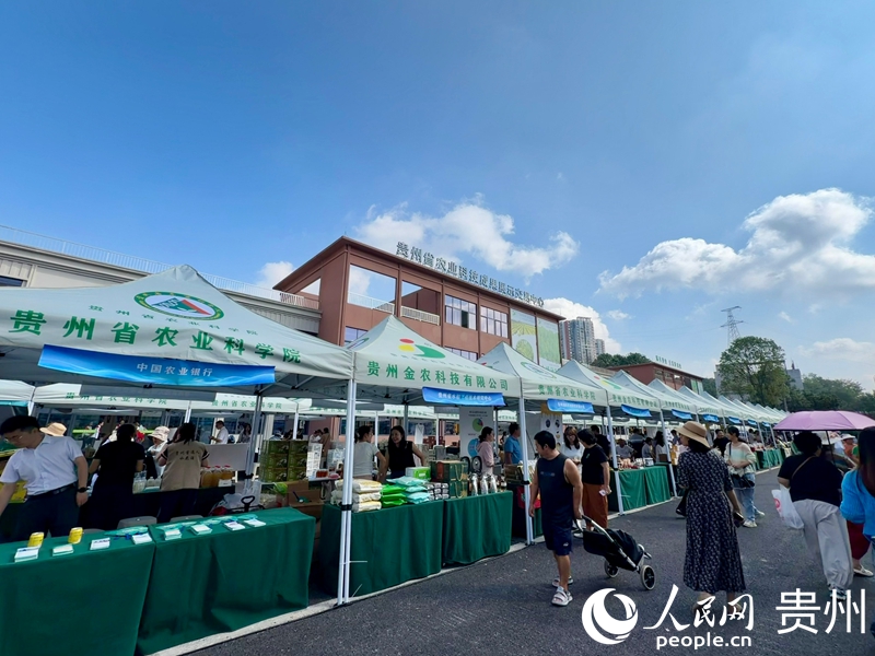 活動展區。人民網記者 陳潔泉攝 .jpg