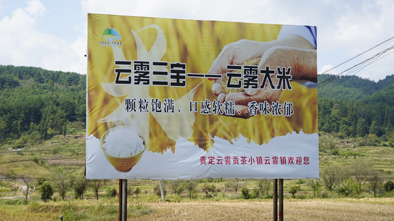 “云雾大米”宣传牌.JPG