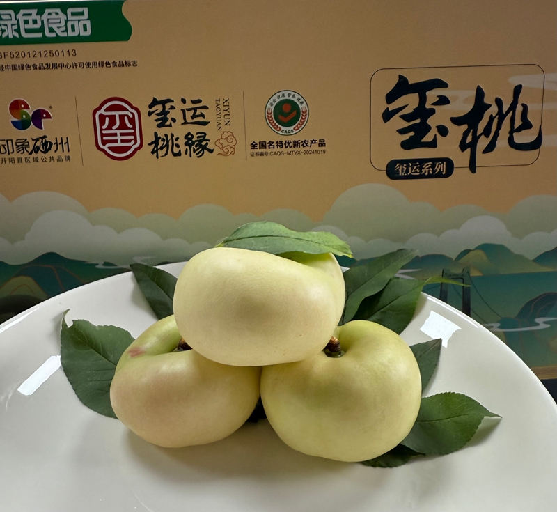 图为：黄桃展示 （胡晓娴  摄）.jpg