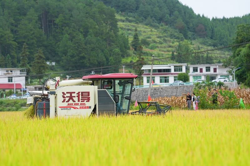 活动现场。殷瑜禧摄