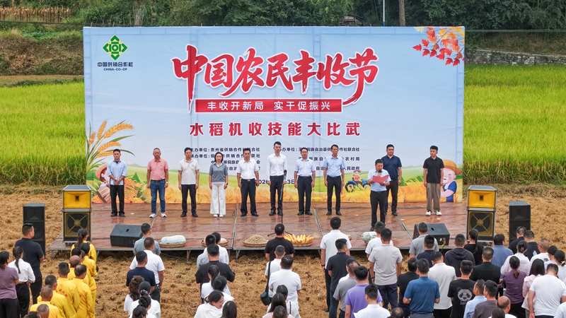 活动现场。殷瑜禧摄
