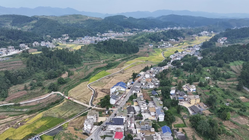 空中俯瞰再生水農田灌溉試點 （播州融媒 蔡城池 攝）.jpg