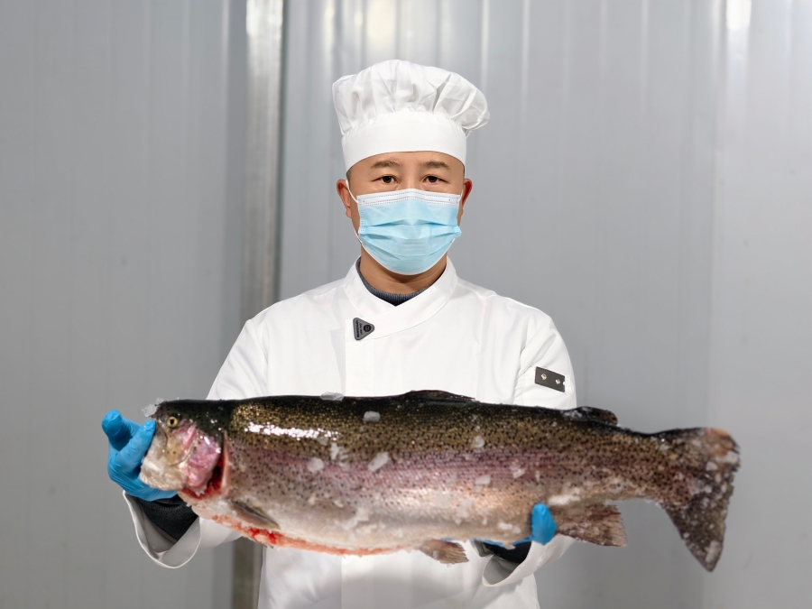 工人展示基地養殖的三文魚。楊雲攝