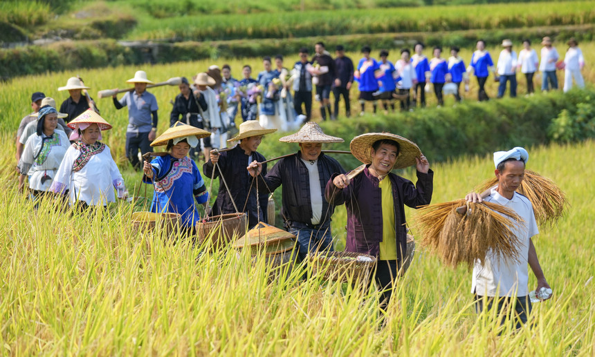 9月22日，在貴州省黔東南苗族侗族自治州榕江縣樂裡鎮大瑞村，村民在梯田裡進行農耕文化展演。