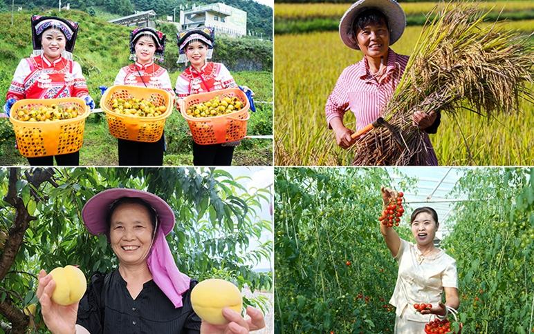 黔彩豐年 | 笑臉如花 “豐”景如畫