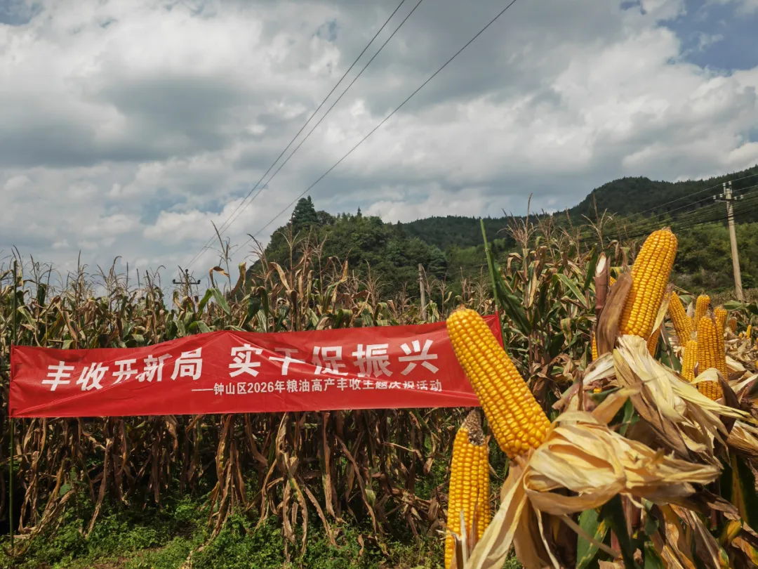 鐘山區農民豐收節活動現場。