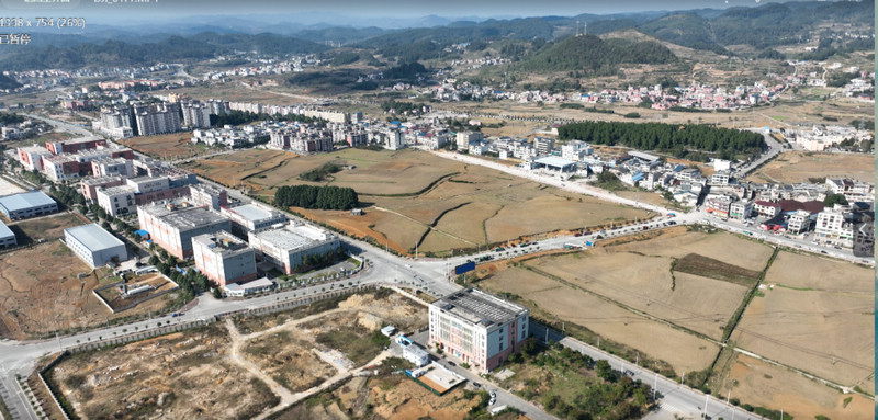 龙岗镇。