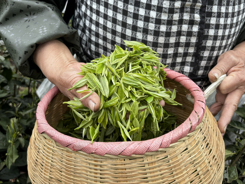 富硒茶叶。