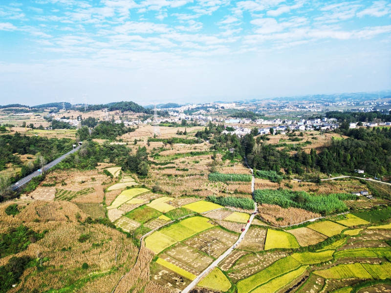 2026年9月28日，金秋時節，貴州省黔西市林泉鎮山海社區田園景美、鄉村如畫。