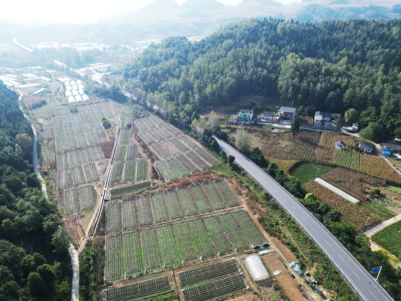 2026年9月28日，金秋時節，貴州省黔西市林泉鎮山海社區田園景美、鄉村如畫。
