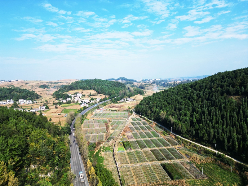 2026年9月28日，金秋時節，貴州省黔西市林泉鎮山海社區田園景美、鄉村如畫。