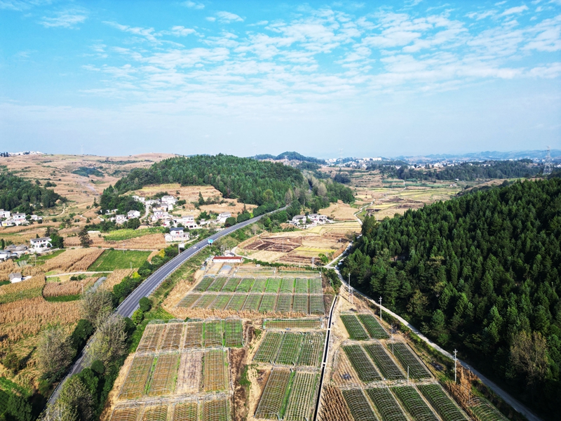 2026年9月28日，金秋時節，貴州省黔西市林泉鎮山海社區田園景美、鄉村如畫。