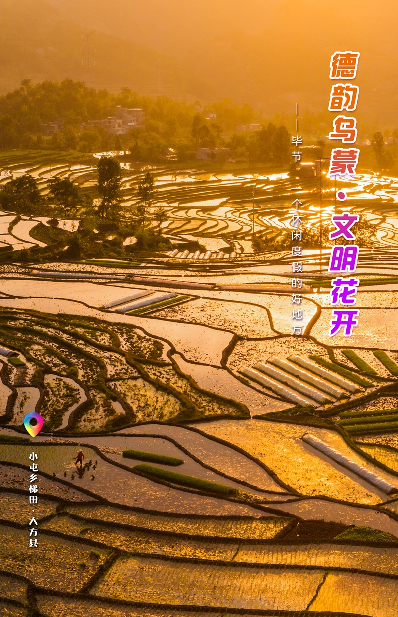 一周一圖：小屯鄉梯田   大方縣.jpg