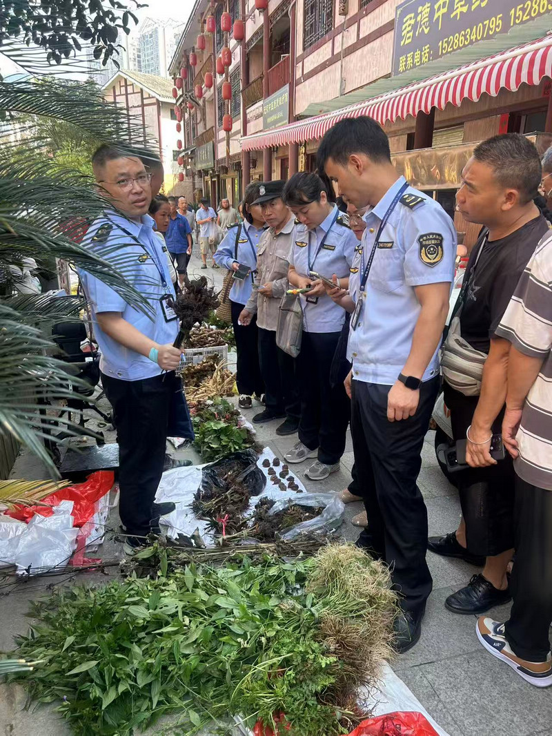 檢查中藥材集市。