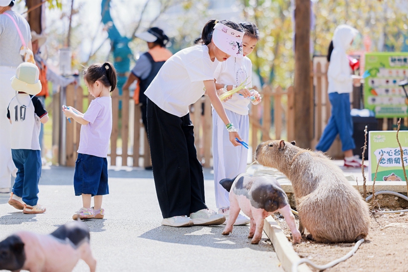 3 、游客投喂動物 。.jpg