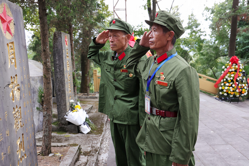 退伍老兵向烈士墓敬禮。