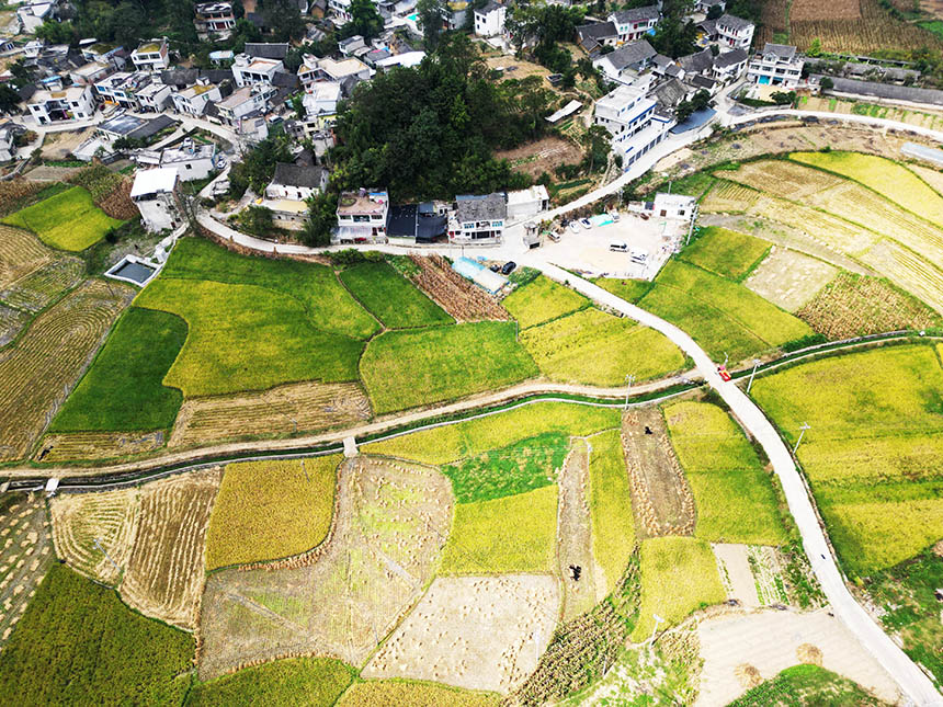 金秋時節的貴州省黔西市錦星鎮新街田壩，豐收田園、鄉村景美。