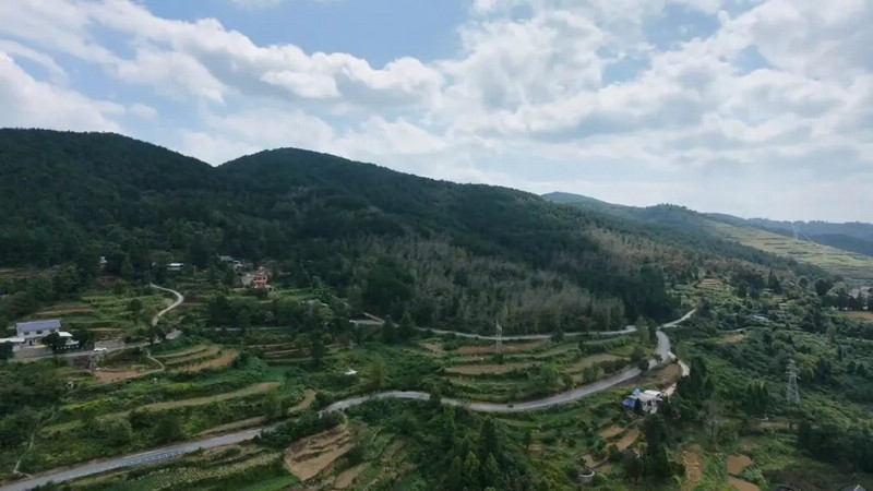 许家坝至大河坝的老路。
