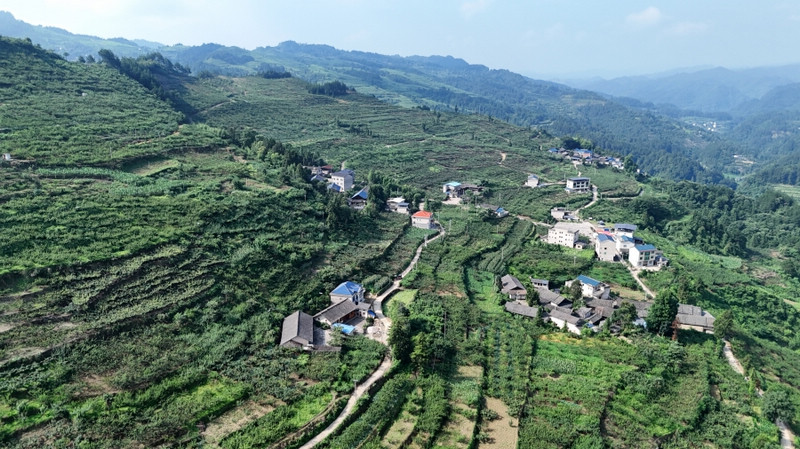 岑鞏縣注溪鎮岑王村“五子園”精品水果種植基地。李昌焯攝