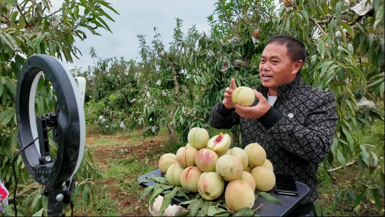 直播售賣冬桃。