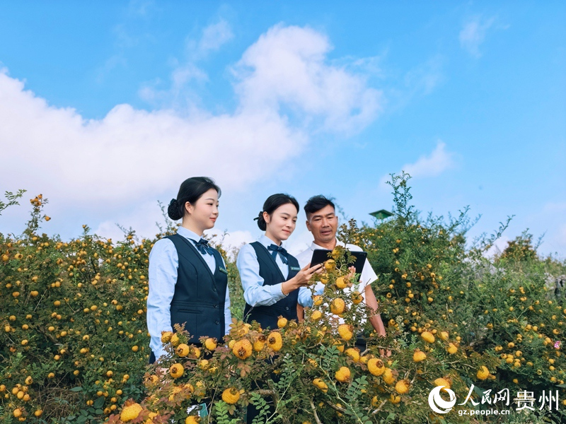 邮储银行龙里县支行工作人员给向忠国向介绍相关政策。人民网 李永馨摄