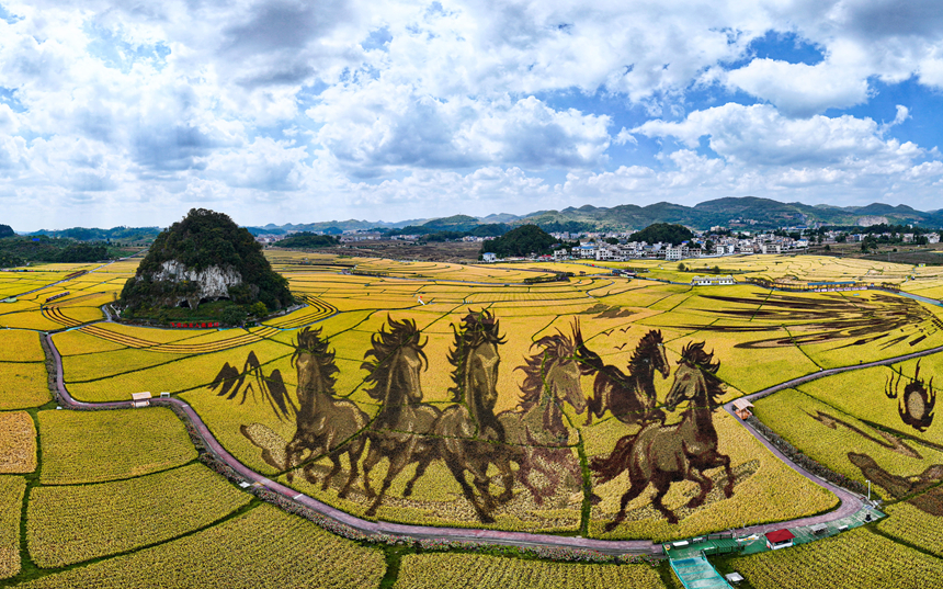 多彩“稻田画”乡村好“丰”景。