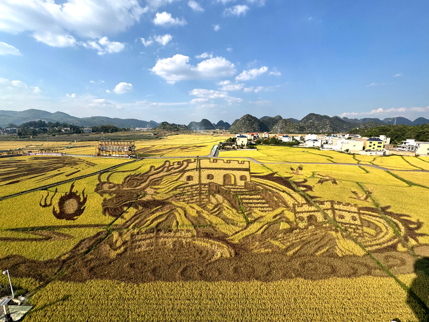 多彩“稻田画”乡村好“丰”景。