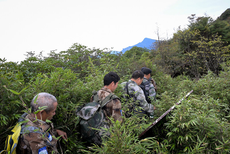 梵净山管理局科研人员及林管员在野外调查途中。向学军摄