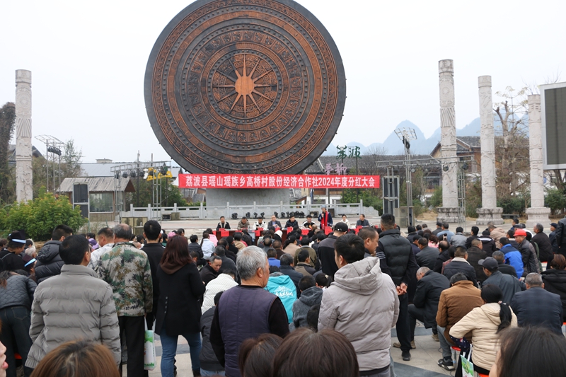 高桥村集体经济分红.JPG