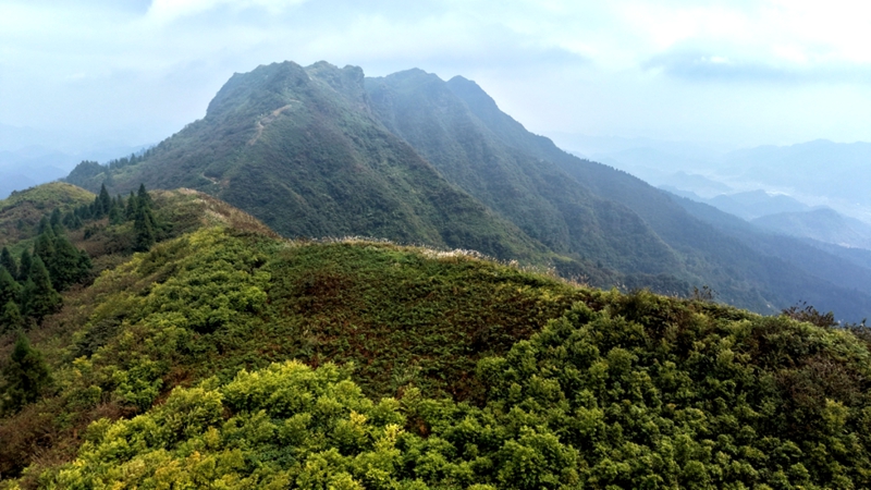 后山苗族布依族鄉隴崗村蘆竹山.jpg